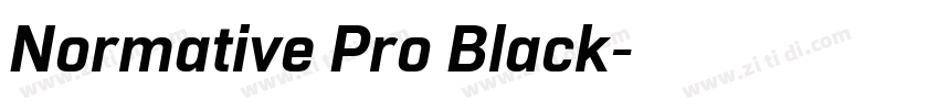 Normative Pro Black字体转换
